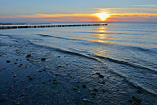 日落,上方,波罗的海,费施兰德-达斯-茨因斯特,梅克伦堡州,德国