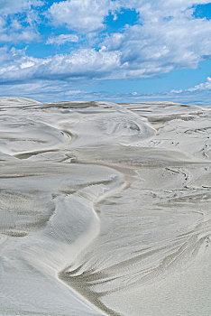 沙丘,告别,自然保护区,地区,南岛,新西兰