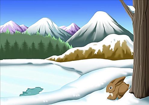 兔子,坐,靠近,积雪,风景