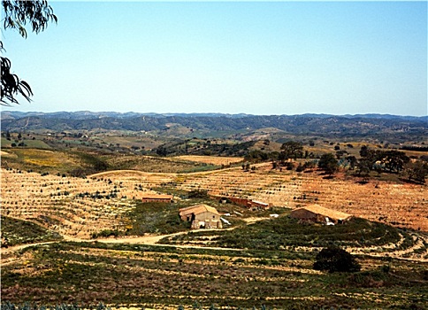 农田,山,葡萄牙