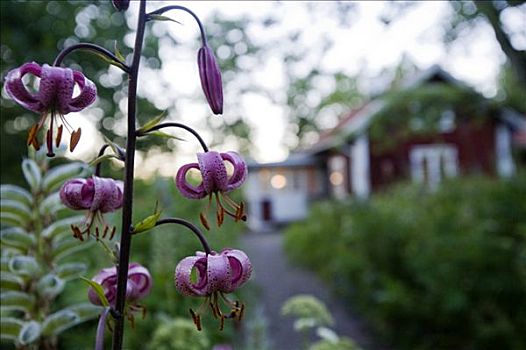 花园,瑞典