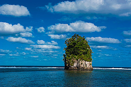 一个,石头,椰树,岛屿,美洲,萨摩亚群岛,南太平洋