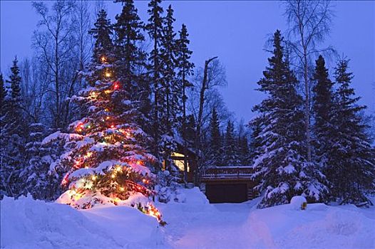 装饰,圣诞树,家,冬天
