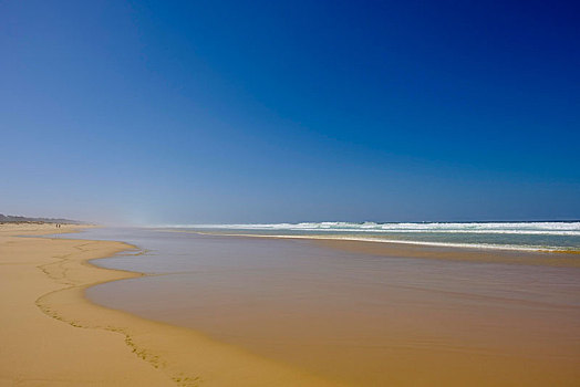 寂静沙滩,大西洋,海岸,达喀尔,区域,塞内加尔,非洲