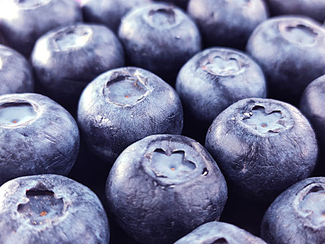 水果微距摄影之蓝莓
