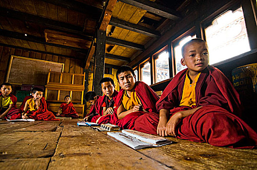 群体,年轻,和尚,学习,不丹