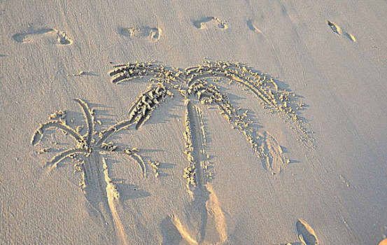 椰子树沙滩画
