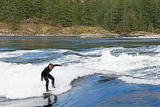 冲浪,波浪,省立公园,靠近,阳光,海岸,温哥华,山脉,不列颠哥伦比亚省,加拿大