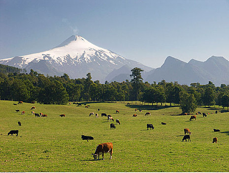 火山,智利