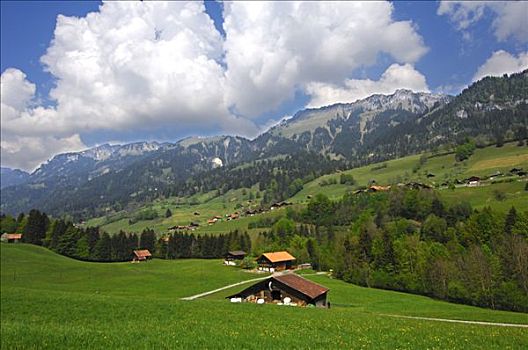 风景,瑞士人,农场,院子,瑞士