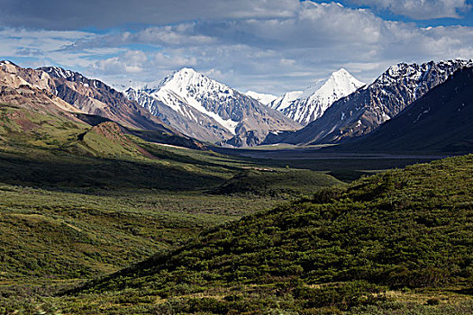 风景,山,德纳里峰国家公园,阿拉斯加,美国