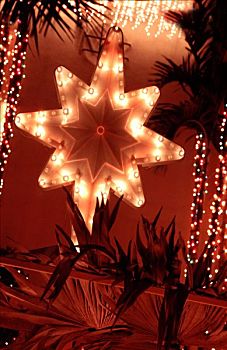 星,户外,圣诞装饰