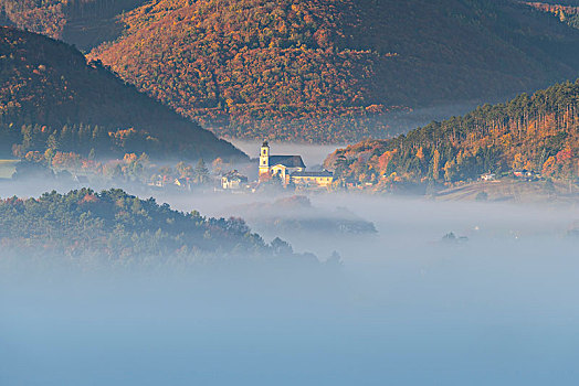 秋天,雾状,气氛,朝圣教堂,下奥地利州,奥地利,欧洲