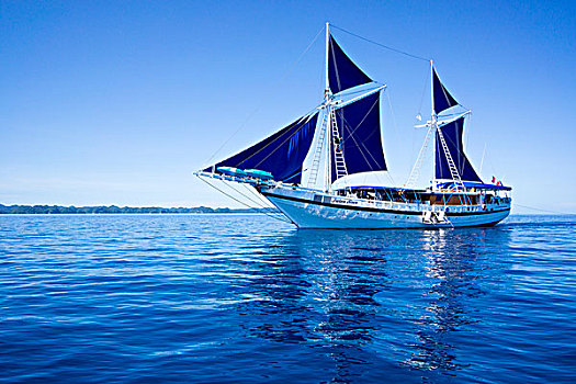 帆船,帕劳,警笛,密克罗尼西亚,大洋洲