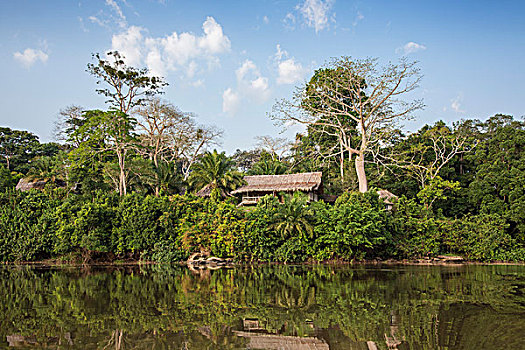 中非共和国,河,魅力,住宿,堤岸,靠近