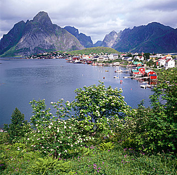 乡村,山,瑞恩,挪威
