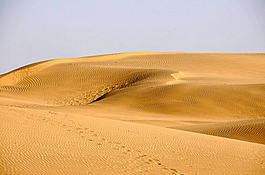 沙丘,浩大,塔尔沙漠,斋沙默尔,拉贾斯坦邦,印度,亚洲