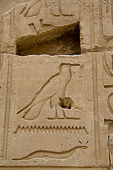 埃及,路克索神庙,约旦河东岸,卡尔纳克神庙,象形文字,特写