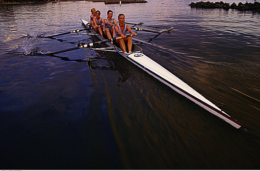 女性,桨手,多伦多,安大略省,加拿大