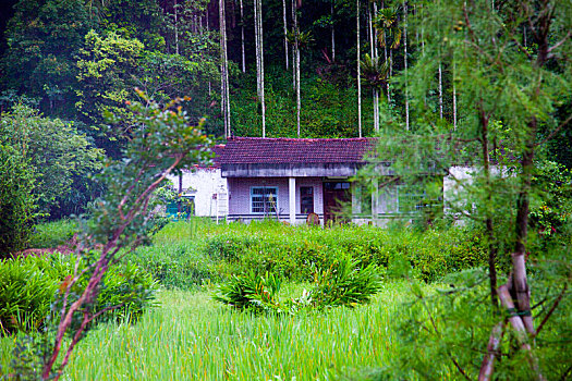 台湾农村很传统的中式房屋四合院