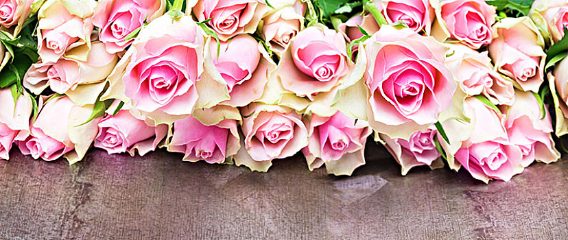 微暗,粉色,玫瑰,情人节