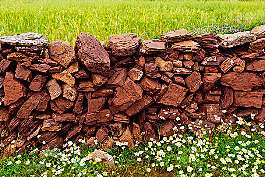 砖石建筑,石墙,花,米诺卡岛,巴利阿里群岛