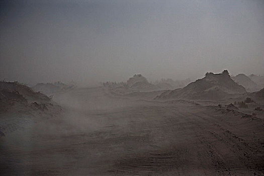 雾,阿塔卡马沙漠,智利