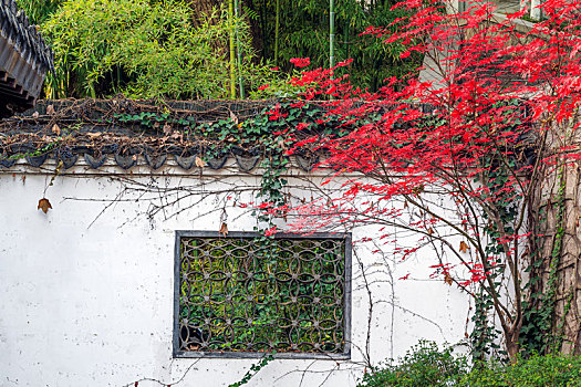 红枫白墙黛瓦漏花窗园林景观,南京清凉山公园