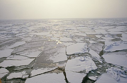 破损,冰,上方,波罗的海