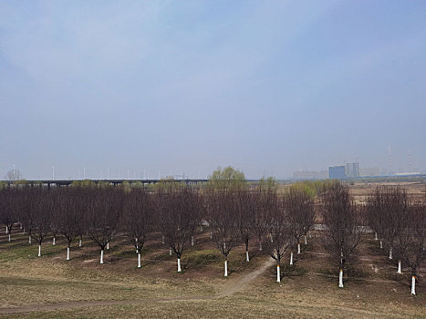 湖泊,渭河湿地,自然风光,湿地公园河流,西安渭河生态区,渭河河堤公园河流与,河畔风光,城市建筑,灞渭湿地,渭河,城市景观,杨凌渭河湿地公园