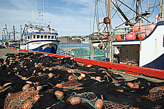 渔船,渔网,纽芬兰,加拿大,城市