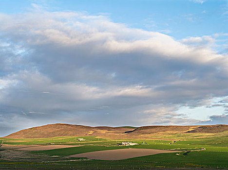 风景,农场,地点,山,日落,奥克尼群岛,苏格兰,大幅,尺寸