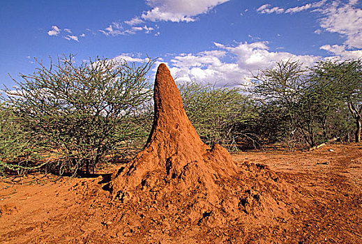纳米比亚,蚁丘