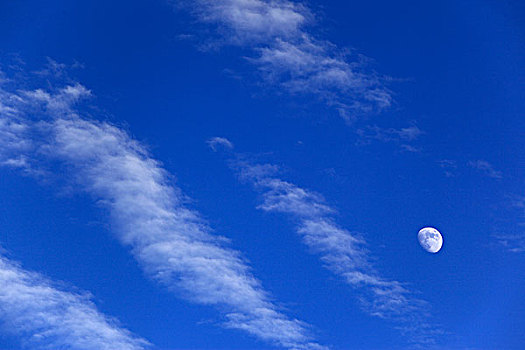 天空,云,月亮
