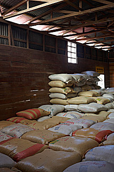 包,咖啡豆,储藏室,哥斯达黎加