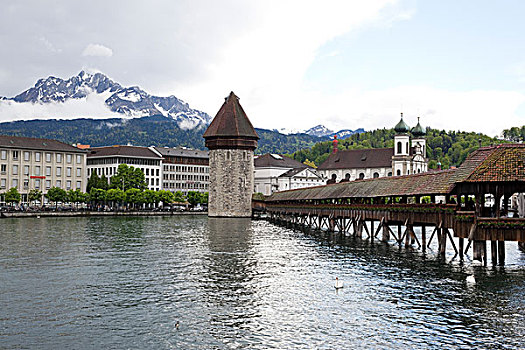 瑞士卢塞恩湖天鹅卡尔贝桥