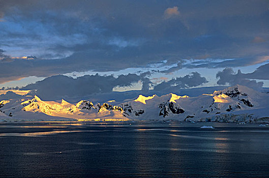 南极,半岛,区域,夜光