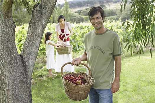 家庭,收集,葡萄,葡萄园