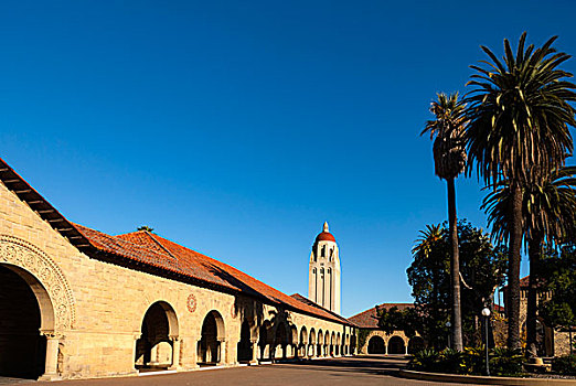 美国斯坦福大学