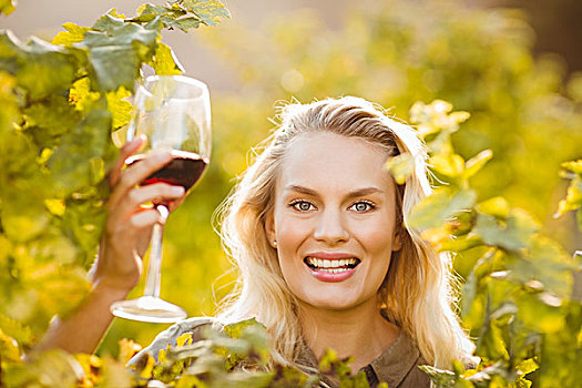 年轻,高兴,女人,拿着,葡萄酒杯,葡萄,地点