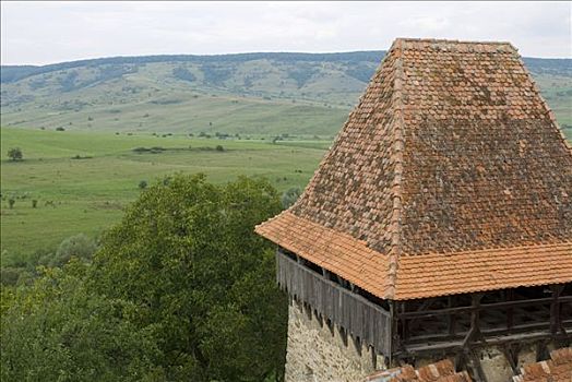 罗马尼亚,特兰西瓦尼亚,屋顶,联合国教科文组织,防护,教堂