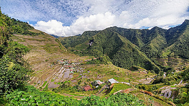 稻米梯田,巴塔德,吕宋岛,菲律宾