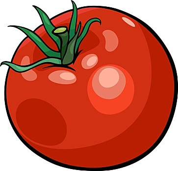 西红柿,蔬菜,卡通,插画