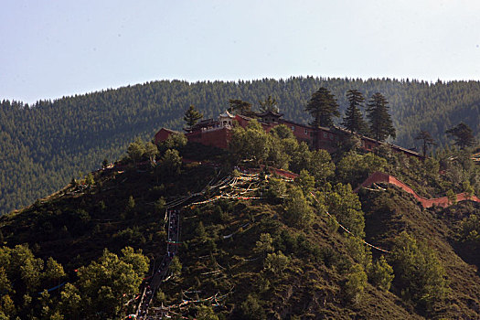 五台山寺庙