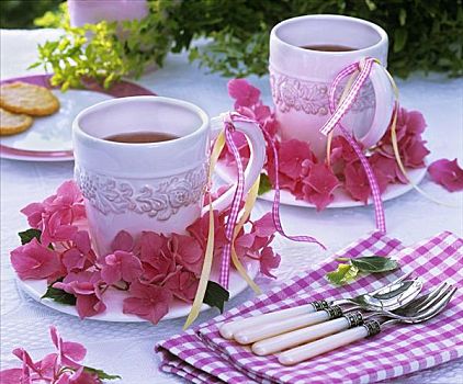 花环,粉色,八仙花属,大杯,茶
