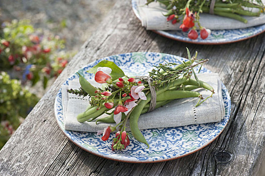 餐巾装饰,蔬菜,药草,豆,花