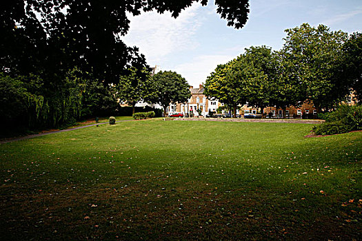 公园,灌木,伦敦,英国