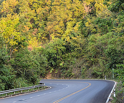 乡村,弯曲,道路