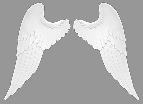 天使之翼,隔绝,白色背景