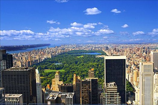 航拍,城市,中央公园,曼哈顿,纽约,美国